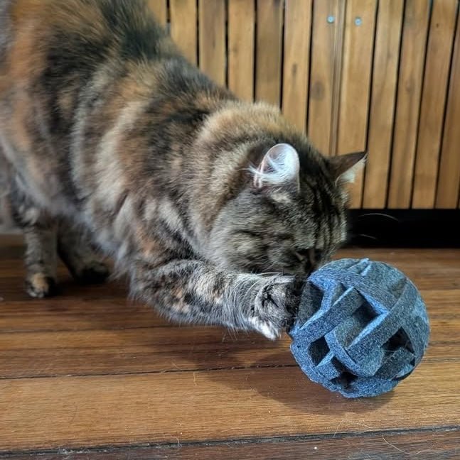 Pounce Orb - Treat & Sensory Enrichment Ball - Pryde Pets