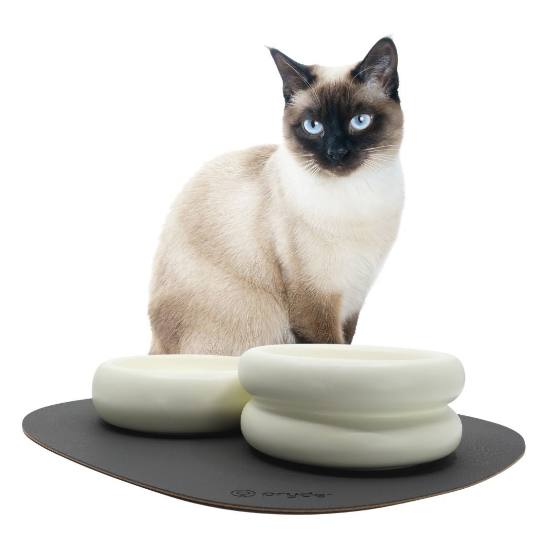 Complete Dining Set with Reversible Charcoal & Oatmeal Dining Mat - Pryde Pets