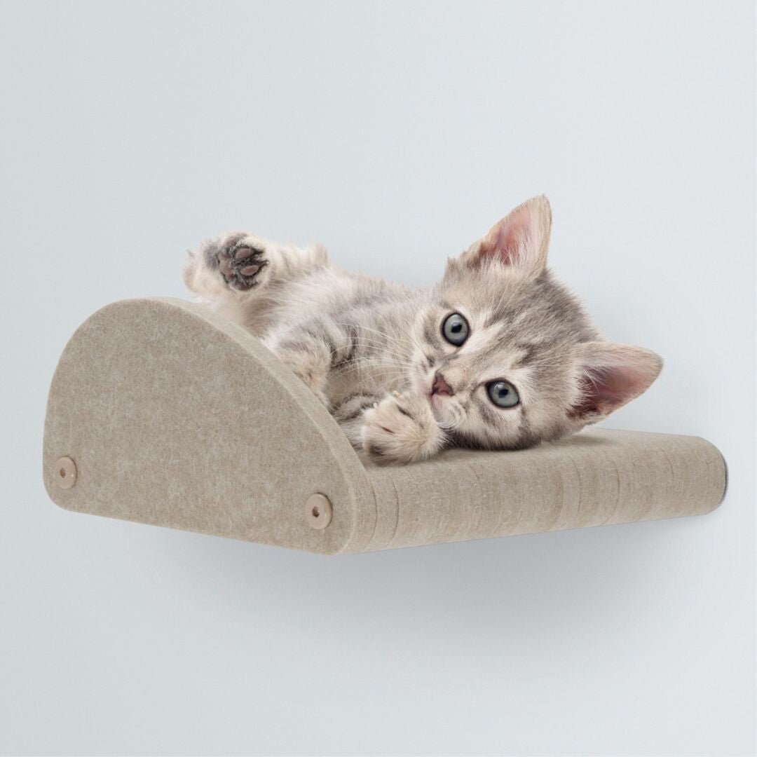Eco-Friendly Cat Shelves - Pryde Pets