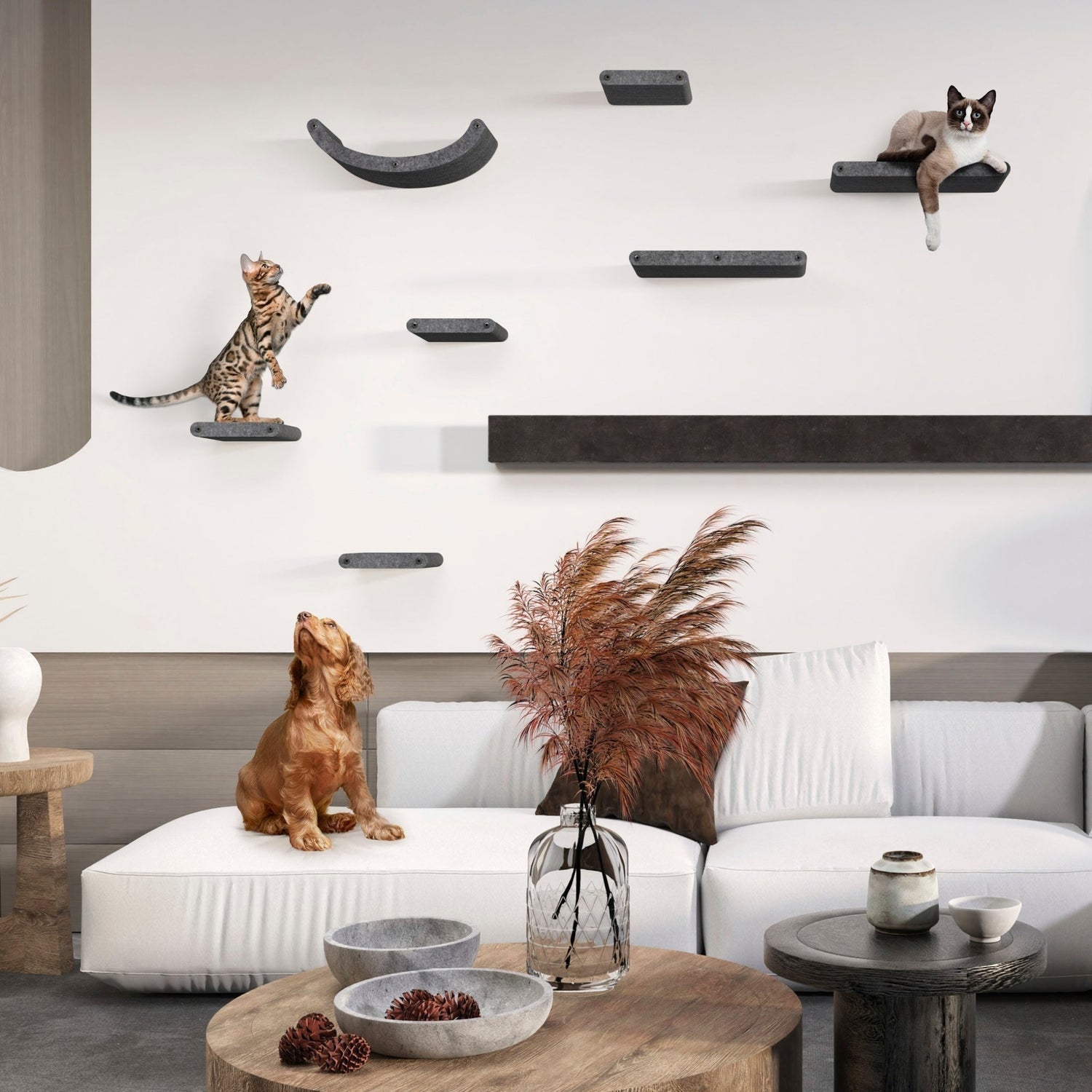 Everything You Need to Know About Cat Climbing Structures in 2025 - Pryde Pets