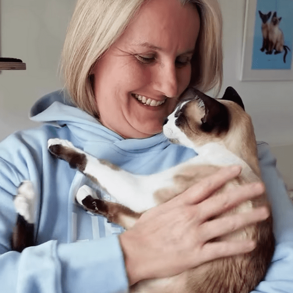 From One Photo to a Whole Playground - Pryde Pets