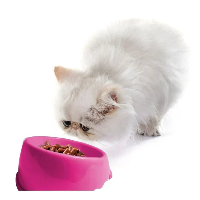 Plastic? Purr-lease. Your Cat Deserves Better. - Pryde Pets