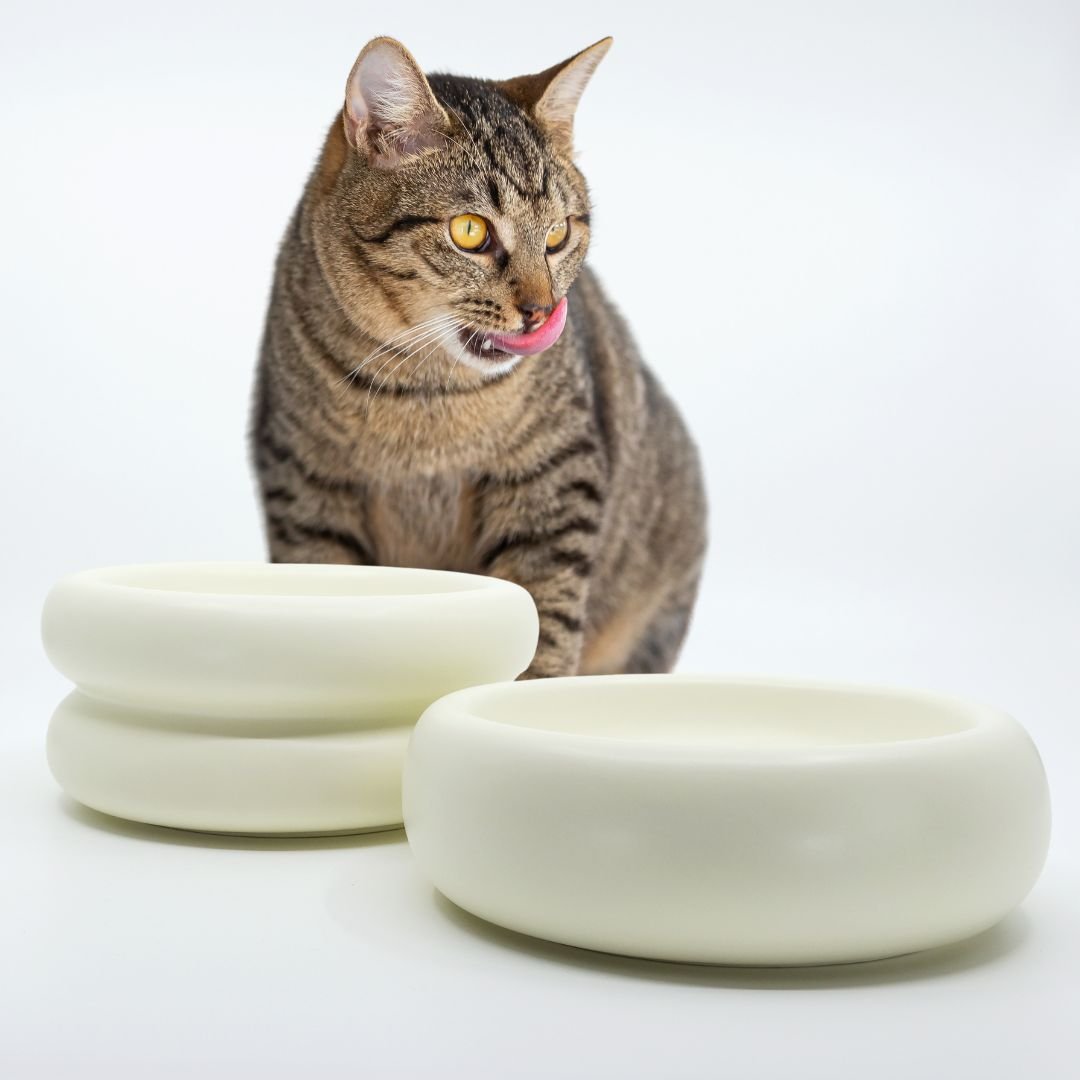 Dining Bowls - Pryde Pets
