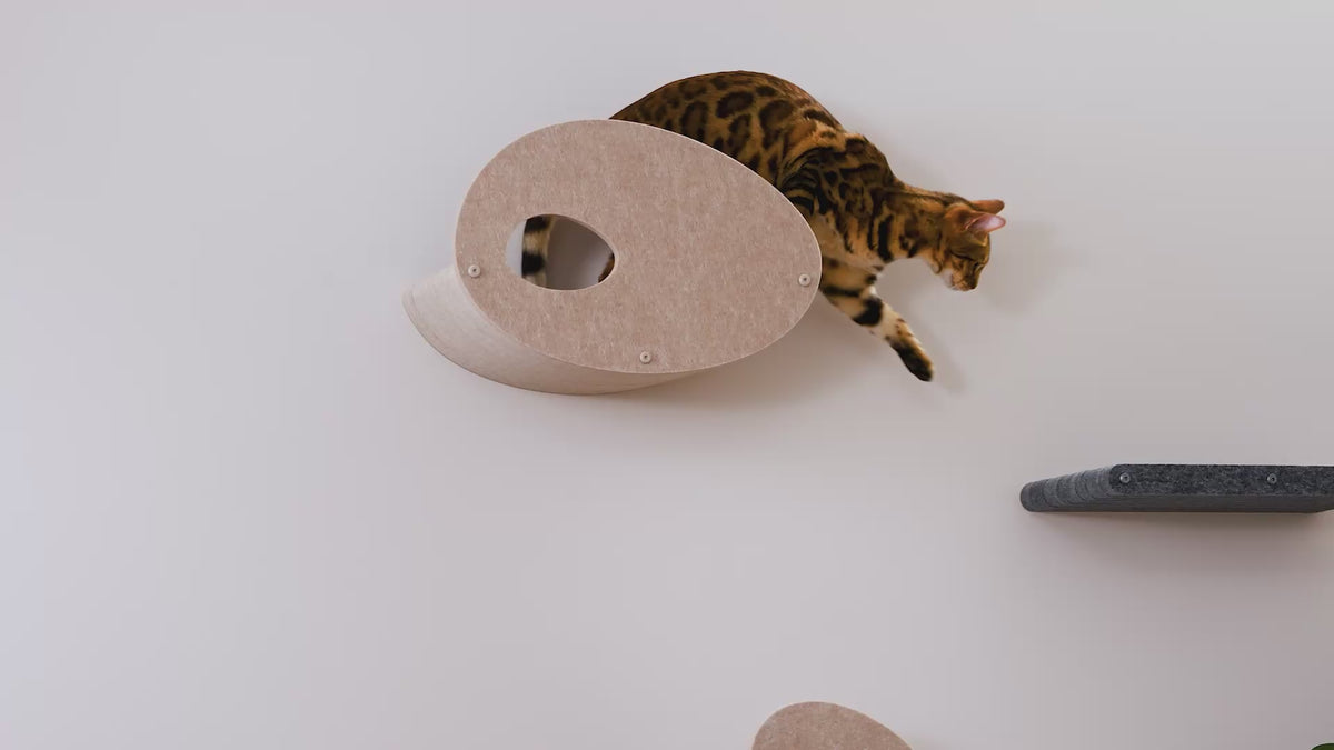 Oatmeal Long Lounger Cat Climber with Facade