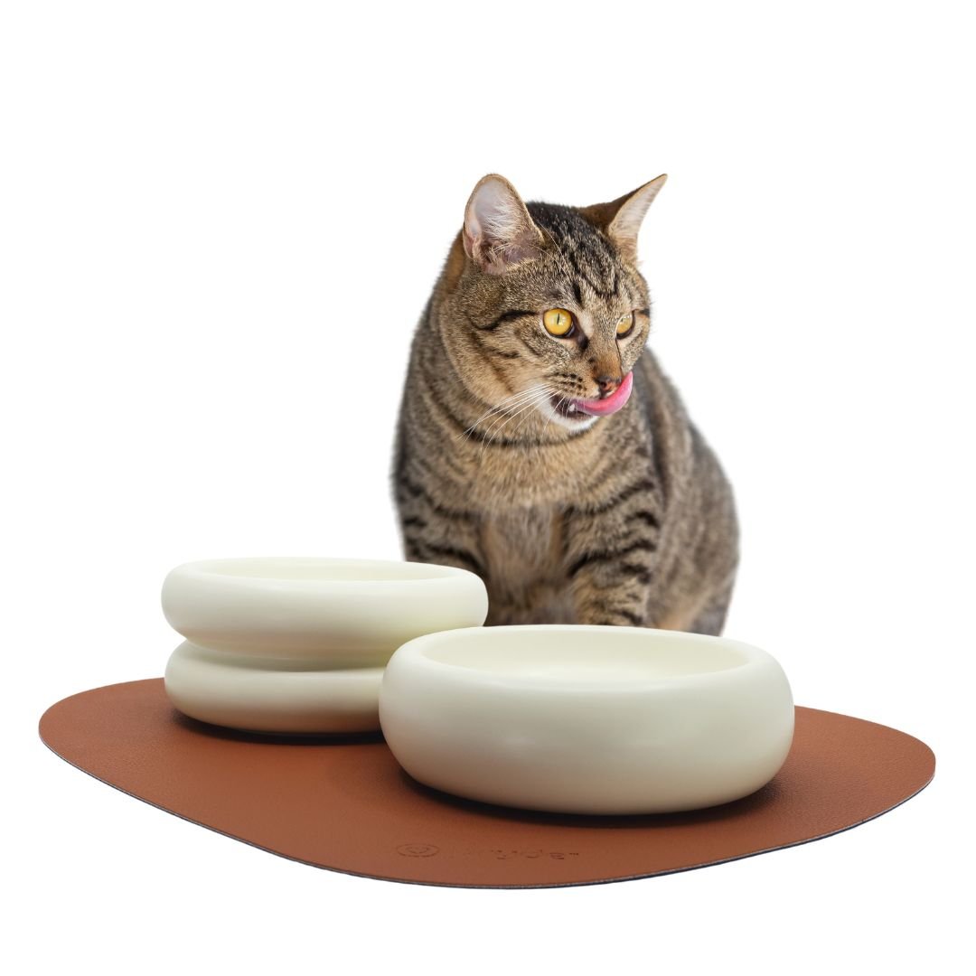 Complete Dining Set with Reversible Chestnut &amp; Navy Dining Mat - Pryde Pets